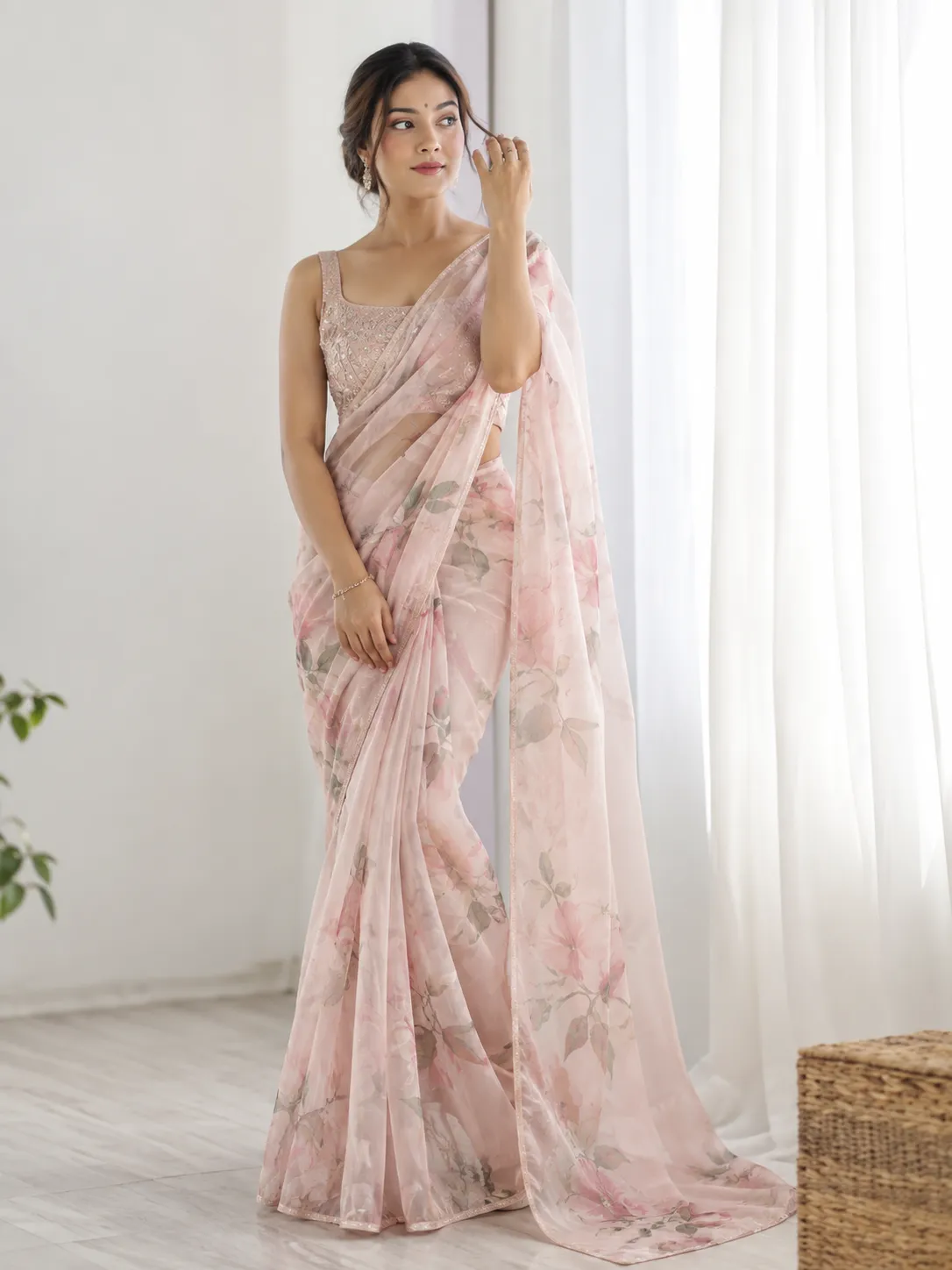 Organza Saree Image